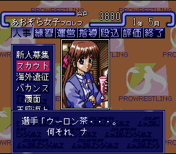 Super Wrestle Angels (Japan) [JP] snes 1994 Game Image