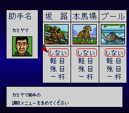Thoroughbred Breeder (Japan) [JP] snes 1993 Game Image