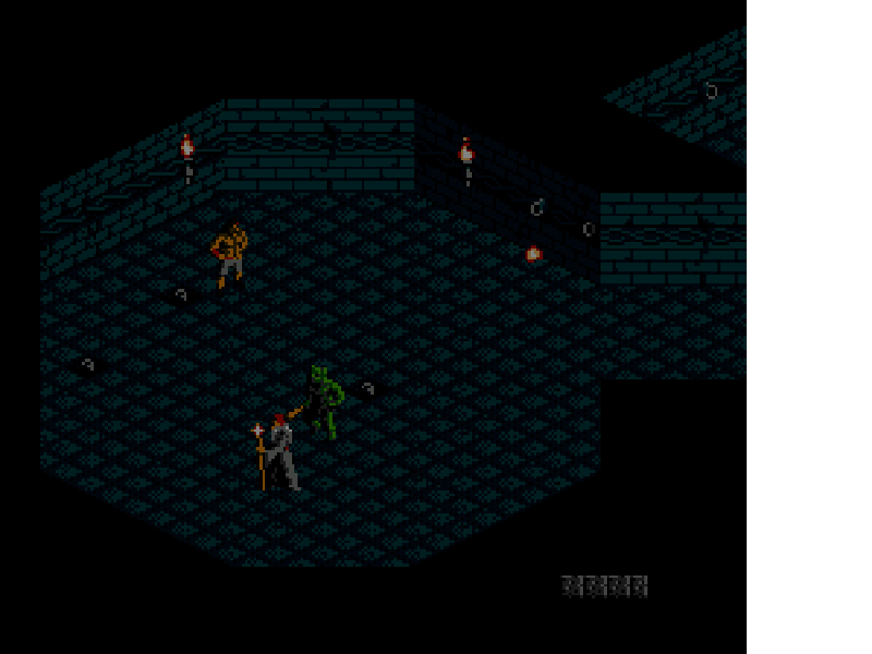 The Immortal [US] nes 1990 Game Image