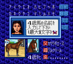 Winning Post (Japan) (Rev 1) [JP] snes 1993 Game Image