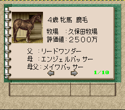 Winning Post 2 (Japan) [JP] snes 1995 Game Image