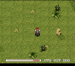 Ys V – Ushinawareta Suna no Miyako Kefin (Japan) [JP] snes 2013 Game Image