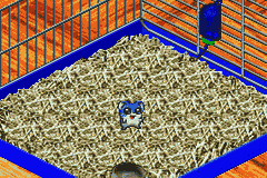 Hamster Monogatari 2 GBA (Japan) [JP] gba 2001 Game Image