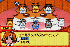 Hamster Paradise – Pure Heart (Japan) [JP] gba 2003 Game Image