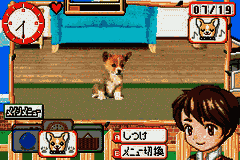 Kawaii Pet Game Gallery (Japan) [JP] gba 2003 Game Image
