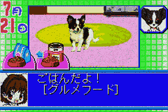 Koinu to Issho 2 (Japan) [JP] gba 2004 Game Image