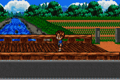Konchuu no Mori no Daibouken – Fushigi na Sekai no Juunin-tachi (Japan) [JP] gba 2005 Game Image