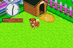 Nakayoshi Pet Advance Series 2 – Kawaii Koinu (Japan) [JP] gba 2002 Game Image