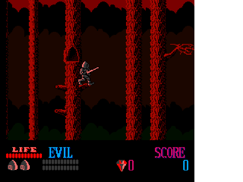 Wizards & Warriors [US] nes 1987 Game Image