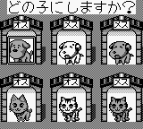 Itsudemo! Nyan to Wonderful (Japan) (SGB Enhanced) [JP] gb 1998 Game Image
