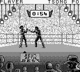 Kick Boxing, The (Japan) [JP] gb 1992 Game Image