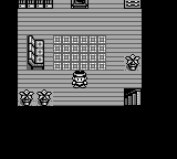 Monster Race (Japan) (SGB Enhanced) [JP] gb 1998 Game Image
