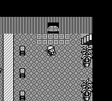Monster Race Okawari (Japan) (SGB Enhanced) [JP] gb 1998 Game Image