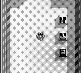 Penta Dragon (Japan) [JP] gb 1992 Game Image
