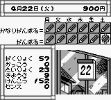 Pocket Love (Japan) (SGB Enhanced) [JP] gb 1997 Game Image