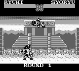 SD Hiryuu no Ken Gaiden 2 (Japan) (SGB Enhanced) [JP] gb 1996 Game Image