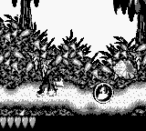 Super Donkey Kong GB (Japan) (SGB Enhanced) [JP] gb 1995 Game Image