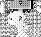 Tsuri Sensei (Japan) (SGB Enhanced) [JP] gb 1998 Game Image