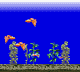 Aqualife (Japan) (SGB Enhanced) (GB Compatible) [JP] gbc 1999 Game Image