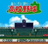 Chi to Ase to Namida no Koukou Yakyuu (Japan) [JP] Thumbnail