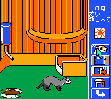Ferret Monogatari (Japan) [JP] gbc 2000 Game Image