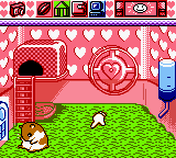 Hamster Paradise (Japan) (SGB Enhanced) (GB Compatible) [JP] gbc 1999 Game Image