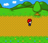 Hero Hero-kun (Japan) [JP] gbc 2001 Game Image