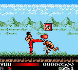 Hiryuu no Ken – Retsuden GB (Japan) [JP] gbc 2000 Game Image