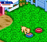 Nakayoshi Pet Series 3 – Kawaii Koinu (Japan) [JP] gbc 2000 Game Image
