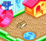 Nakayoshi Pet Series 5 – Kawaii Hamster 2 (Japan) [JP] gbc 2001 Game Image