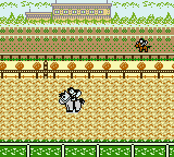 Pocket GI Stable (Japan) (SGB Enhanced) (GB Compatible) [JP] gbc 1999 Game Image