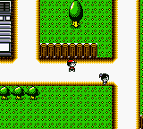 Pocket Lure Boy (Japan) [JP] gbc 1999 Game Image