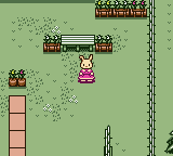 Sylvanian Families 2 – Irozuku Mori no Fantasy (Japan) [JP] gbc 2000 Game Image