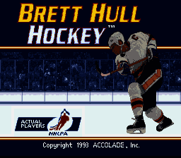 Brett Hull Hockey [US] Thumbnail