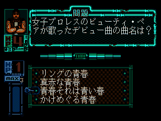 Riddle Wired (Japan) (SegaNet) [JP] segaMD 1991 Game Image