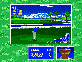 Top Pro Golf 2 (Japan) [JP] segaMD 1993 Game Image