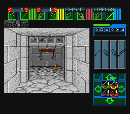 Dungeon Master [US] snes 1993 Game Image