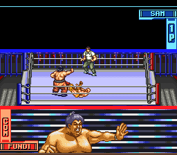 Hammer Lock Wrestling [US] snes 1994 Game Image