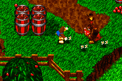 Banjo-Kazooie: Grunty’s Revenge [US,EU] gba 2003 Game Image