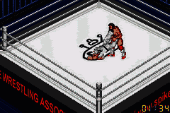 Fire Pro Wrestling [US,EU] gba 2001 Game Image