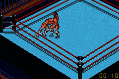 Fire Pro Wrestling 2 [US] gba 2002 Game Image