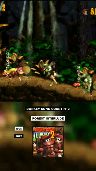 🎮Donkey Kong Country 2 - Forest Interlude🎵