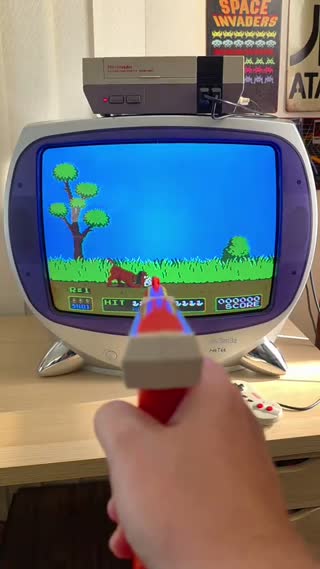 I want to shoot the dog Duck hunt on NES